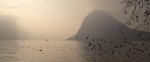 Find the lowest prices for student accommodation in Lugano!